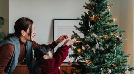 How to Dispose Real Christmas Trees? See Recycling Options by County