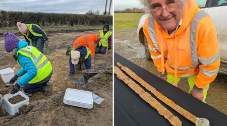 Man Finds 2 Roman Cavalry Swords in a Field— Helps Discover 2,000-Year-Old Settlement