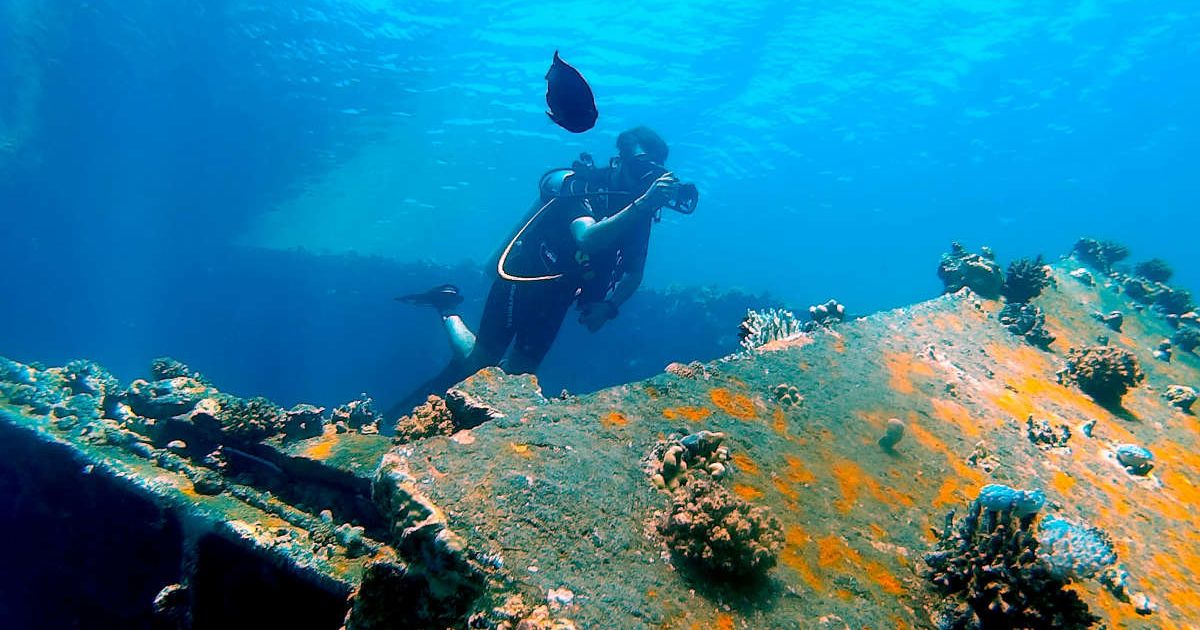 Man in Black Diving Suit Diving on Water. (Representative Image Source: Pexels | Ayden Zaki)