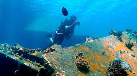 7,000-Year-Old Underwater Wall Found off French Coast May Be One of the Largest Ever Found
