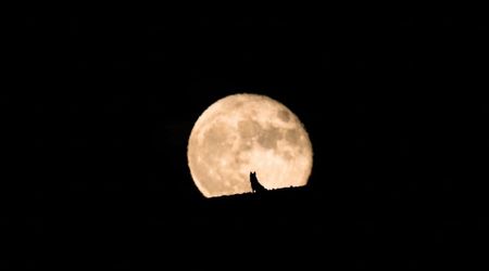 A Brighter-Than-Usual Wolf Moon Will Light Up January 2026 Skies — Here's When to Look Up