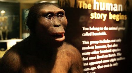 New Fossil Study Challenges Human Origins Theory— Claims Lucy Might Not Be a Direct Ancestor