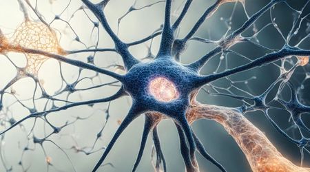 New Study Finds a Way to Reverse Alzheimer’s and Restore Neurological Function in Mice