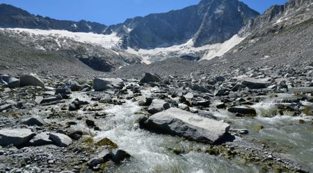 More than Half of Earth’s Glaciers Could Disappear Within the Next Two Decades, Study Finds