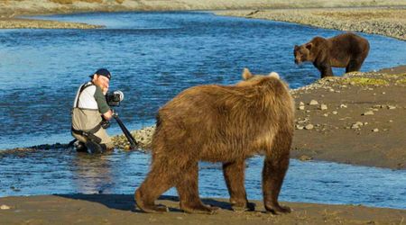 More Grizzlies Are Dying in Yellowstone Than Ever Before — and Humans Play a Big Role
