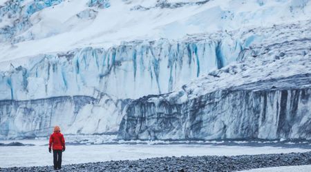 The 'Doomsday Glacier' Is Living up to Its Name as Experts Find More Warning Signs