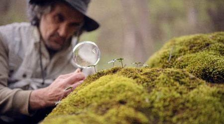 This Overlooked Plant Has Been Quietly Helping Forensic Experts Solve Crimes, New Study Reveals