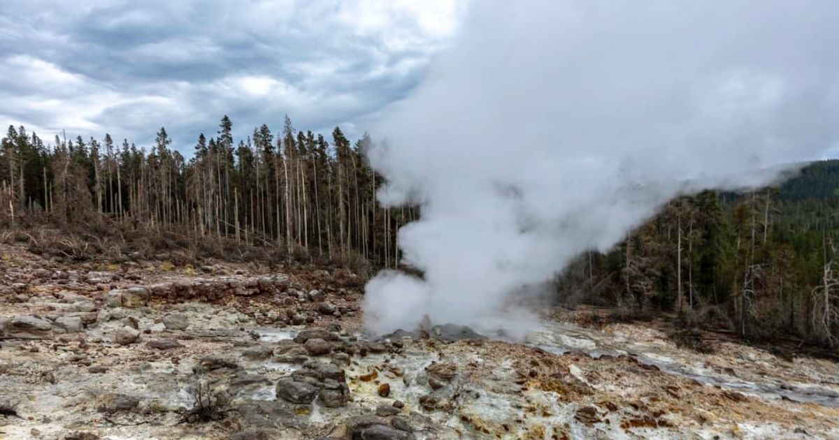 Steamboat Geyser in the Norris geyser basin in Yellowstone (Representative Image Source: Getty Images | fitopardo)
