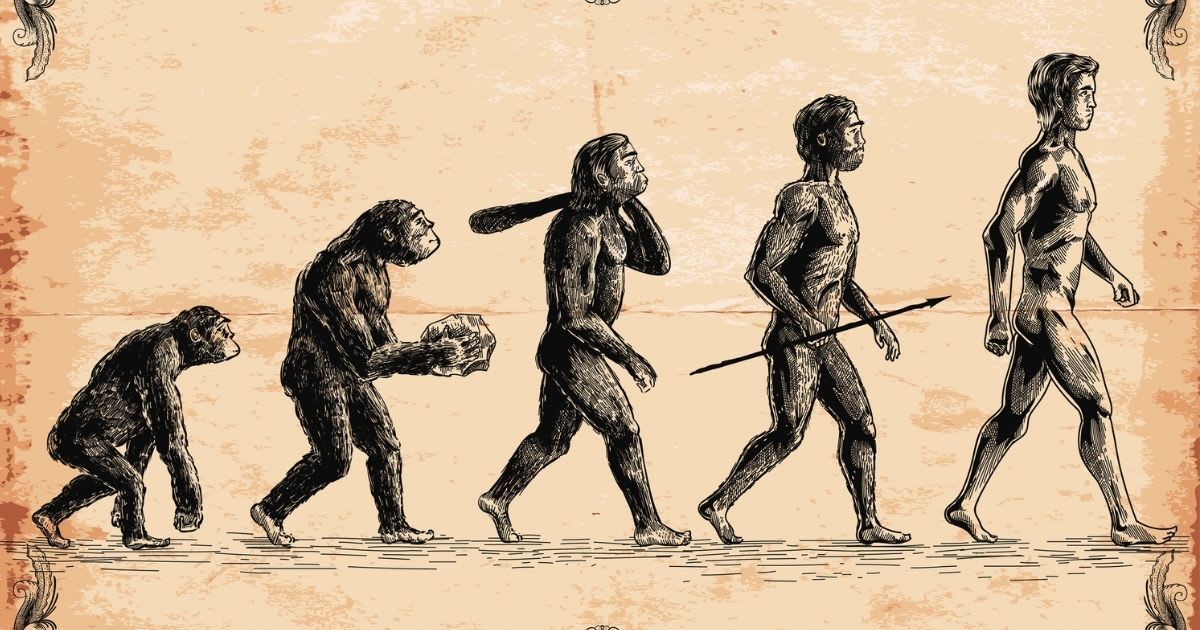 Concept of human evolution. (Representative Cover Image Source: Getty Images | Man_Half-tube)