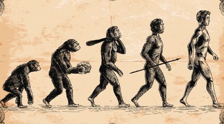 New 773,000-Year-Old Fossils Might Just Help Scientists Piece Together Human Evolution