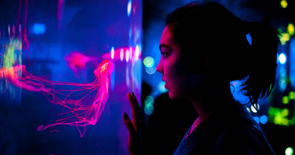A girl looking at jellyfish in an aquarium. (Representative Cover Image Source: Getty Images | Giulia Fiori Photography)