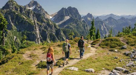 Planning a Hike at Joshua Tree National Park? This New Announcement Could Affect Your Visit