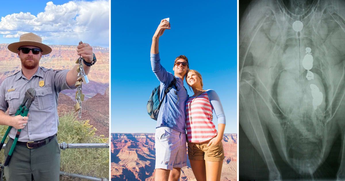 (L-R) Park officials appeal to visitors to stop putting 'love locks'; a couple poses at the Grand Canyon; X-ray of a condor that swallowed a key (Cover Image Source: (L&R) Facebook | Grand Canyon National Park; (C) Getty Images | Jacobs Stock Photos)