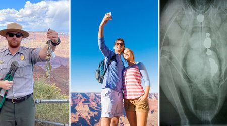 This Common Romantic Gesture Is Becoming a Threat to Wildlife at Grand Canyon National Park