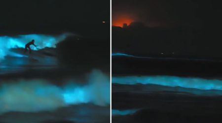 Surfer Records Rare Phenomenon as He Rides Bioluminescent Waves Beneath a Blood-Red Storm