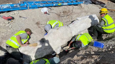 Construction Workers Stumble Over 150-Million-Year-Old Dinosaur Fossil at Utah National Park