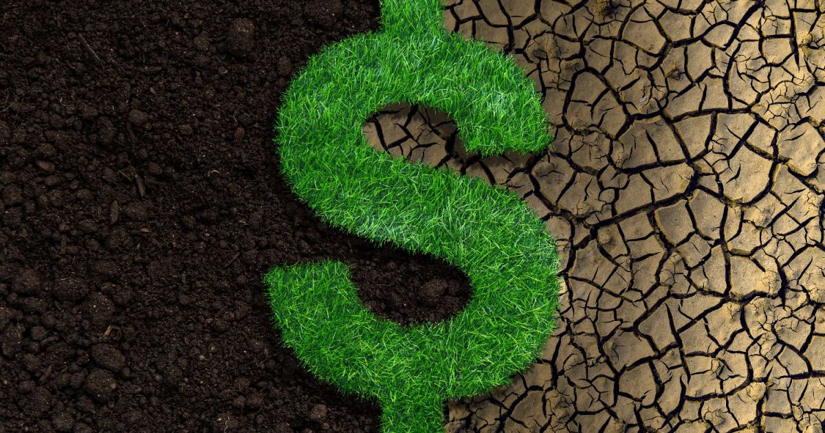 A dollar currency sign made with grass on soil. (Representative Cover Image Source: Getty Images | anand purohit)