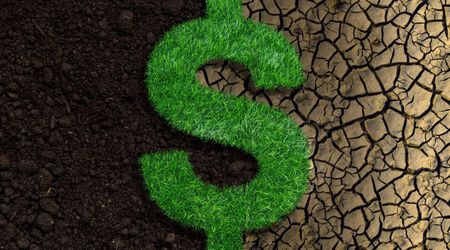 Climate Change is Quietly Shrinking Salaries in America by About 12%, New Study Finds