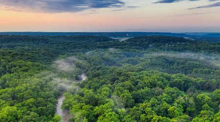 Landmark Agreement Protecting the Amazon from Deforestation Is Now in Danger After 2 Decades