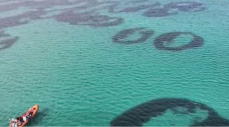 Strange Seagrass 'Fairy Circles' Spotted at the Bottom of the Ocean Puzzles Scientists