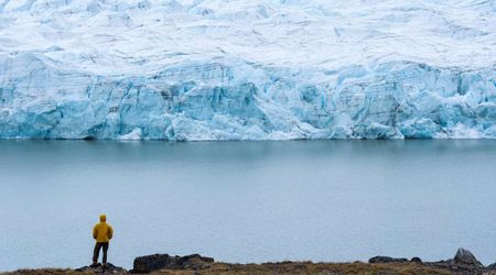 Bizarre Climate Paradox Will Make Greenland’s Sea Levels Fall — Even as They Rise Everywhere Else