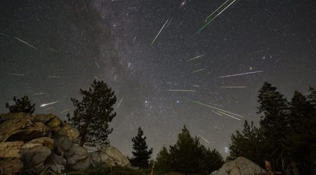2026's Brightest Meteor Shower Will Shine in a Moonless Sky — How and When to Watch It
