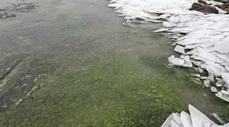 Green Ice Forms in Lake in Czech Republic — And Scientists Think They Know Why
