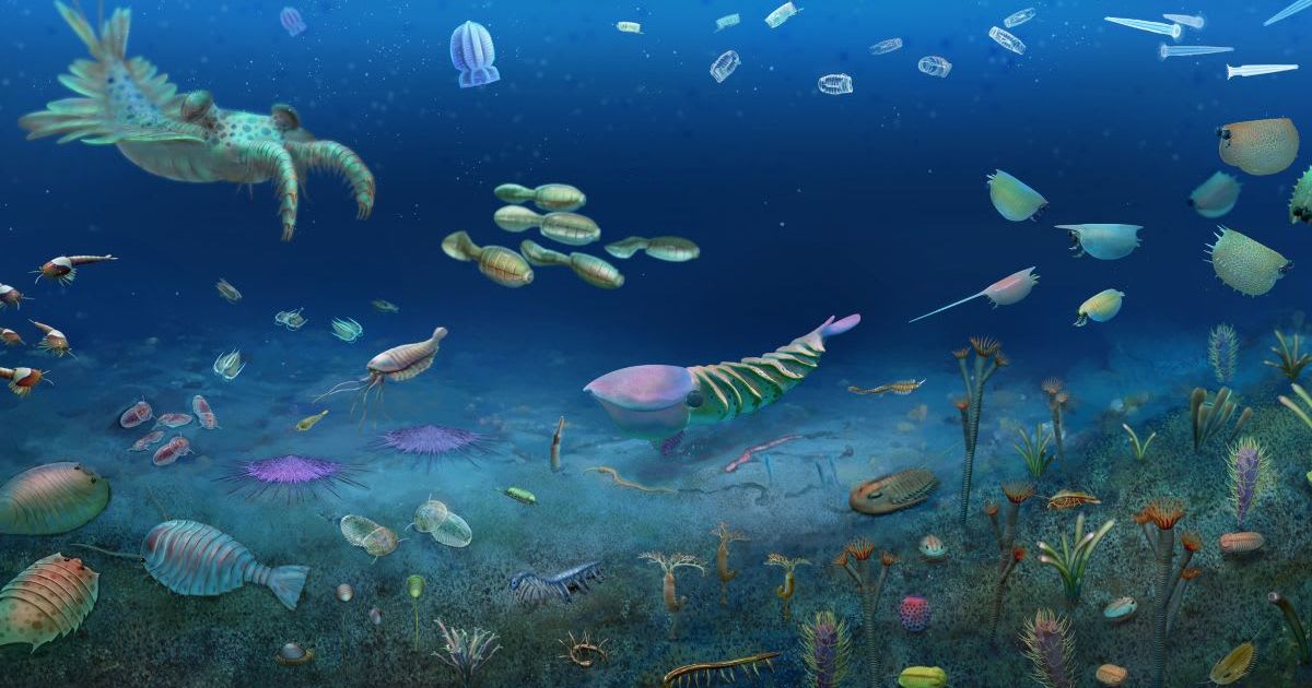 An artistic reconstruction of the Huayuan ecosystem (Cover Image Source: Zeng et al., Nature, 2026)