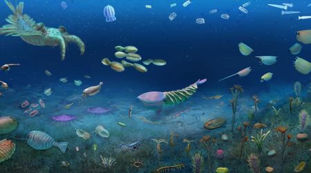 Scientists Didn’t Expect Life to Return This Fast After Earth’s First Mass Extinction Event