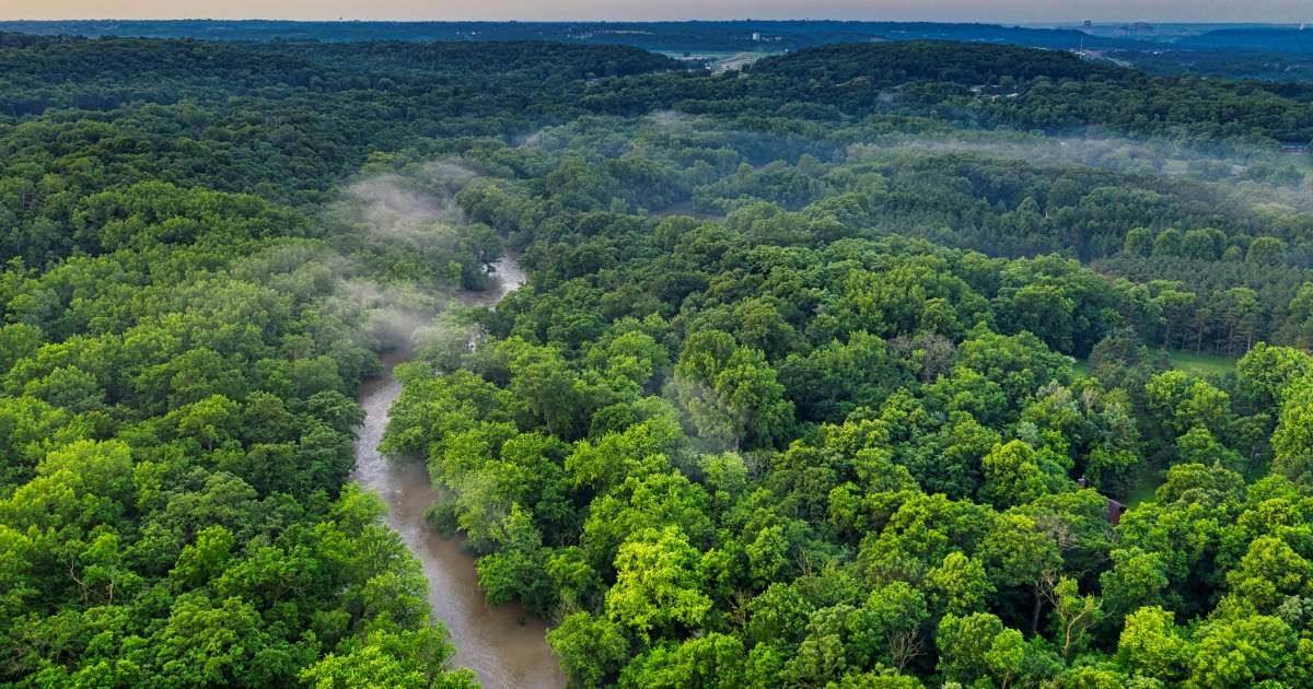 Amazon River flowing from between the trails of Amazon rainforest (Representative Cover Image Source: Pexels | Tom Fisk)