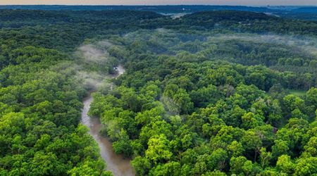 Scientists Warn Amazon Is Approaching Irreversible Forest Loss Faster Than Thought