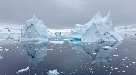 Melting Antarctic Ice Isn’t Helping the Ocean Absorb Carbon — Defying Years of Predictions