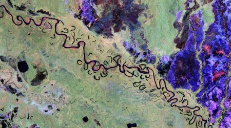 Scientists Can Now See Earth’s Carbon Stores from Space in Unprecedented Detail