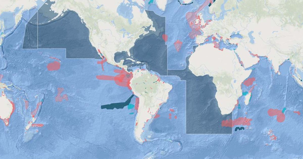 ISRA's E-Atlas highlights important shark and ray vulnerability areas. (Cover Image Source: ISRA | IUCN SSC)