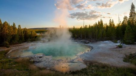 Scientists Examined a 300-Foot Hole in Yellowstone and Found Hidden Life Growing