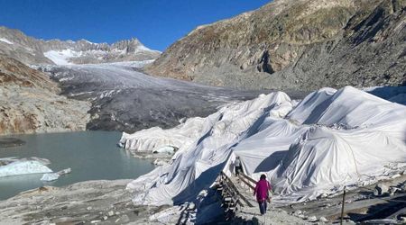 Tourists Rush to See Melting Glaciers Before They're Gone. But Their Presence Is Making Things Worse