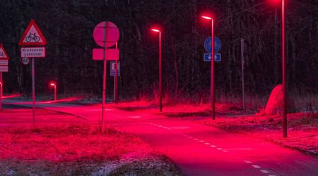 A Danish Town Just Switched to Red Streetlights and It Could Change Animal Life in Cities Worldwide