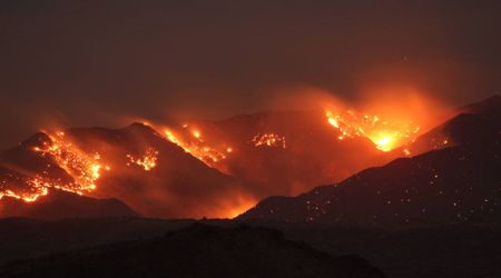 Patagonia's Wildfires Threaten Irreparable Damage to Some of the World's Oldest Trees