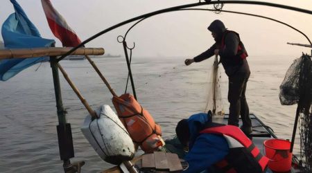 6 Years After China Banned Fishing in Its Largest River, Endangered Species Are Making a Comeback