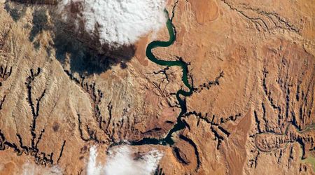 The Colorado River Now Holds Legal Personhood. Experts Hope It Can Slow a Severe Water Crisis