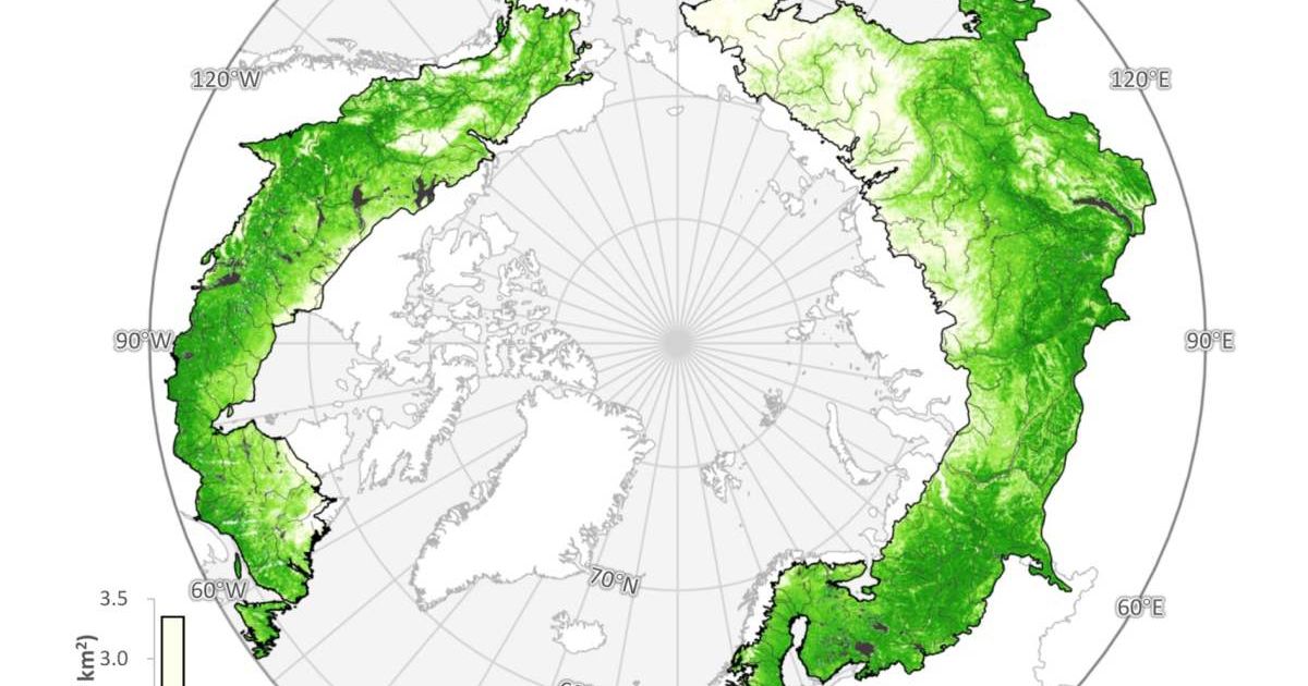 Distribution of boreal across boreal ecoregions in 2020. (Cover Image Source: Biogeosciences)