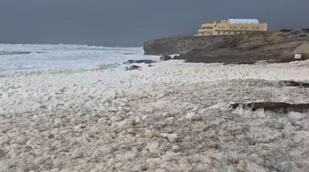 A Mysterious Foam Has Taken Over Portugal's Beaches. And It's Linked to the Recent Deadly Storms