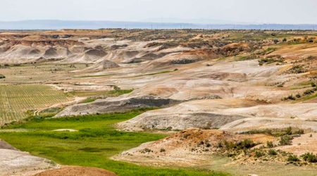 China Successfully Turns Gobi Desert Into a Green Belt. But It's Caused a Dangerous Side Effect
