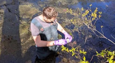 Scientists Discover a Hidden Threat Contaminating a Major U.S. Waterway
