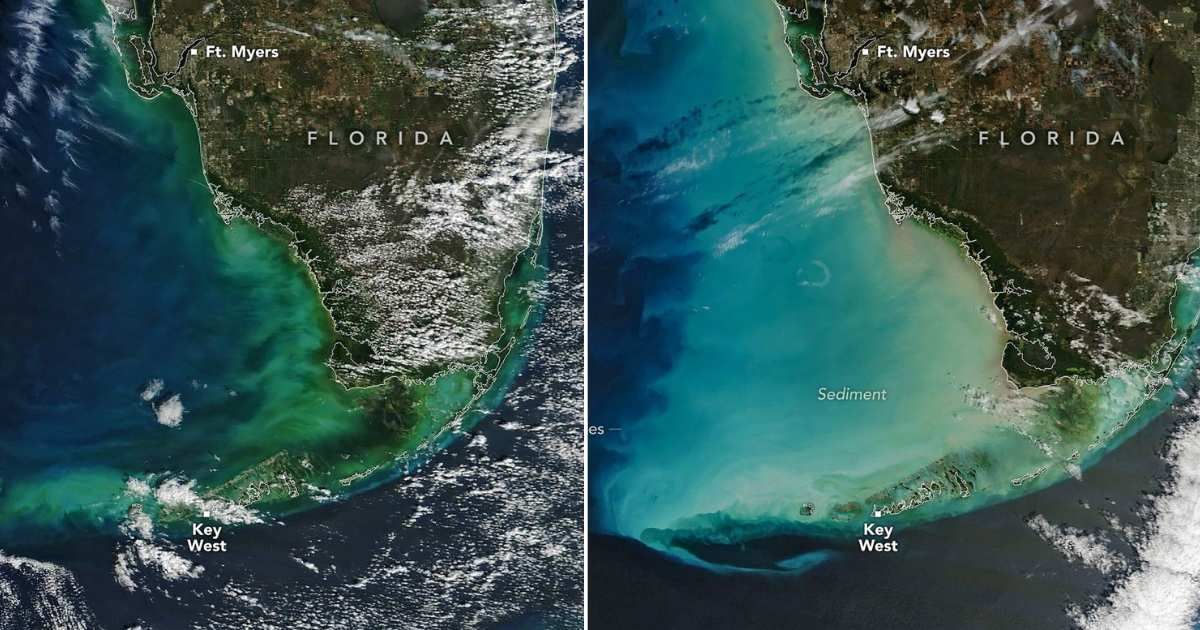 Before (Jan. 24, 2026) and after (Feb. 3, 2026) satellite images reveal the water’s dramatic color changes. (Cover Image Source: NASA)