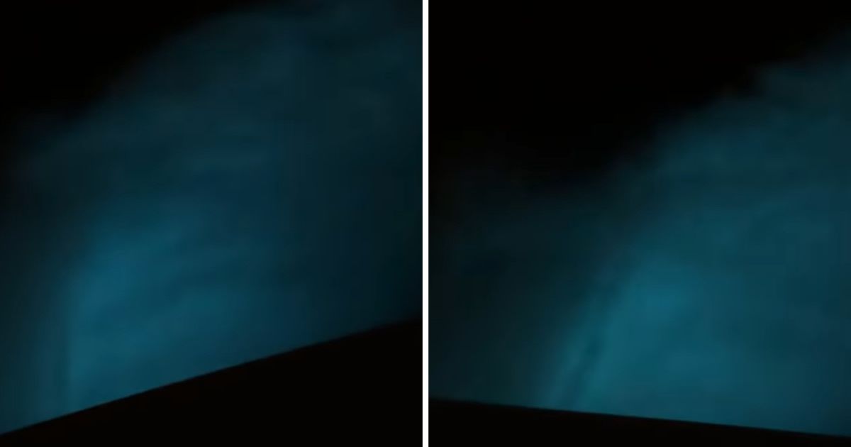 Resident living along the Dickinson Bay are fascinated after discovering electric blue glow in the water (Cover Image Source: Facebook | Clint Trueheart)