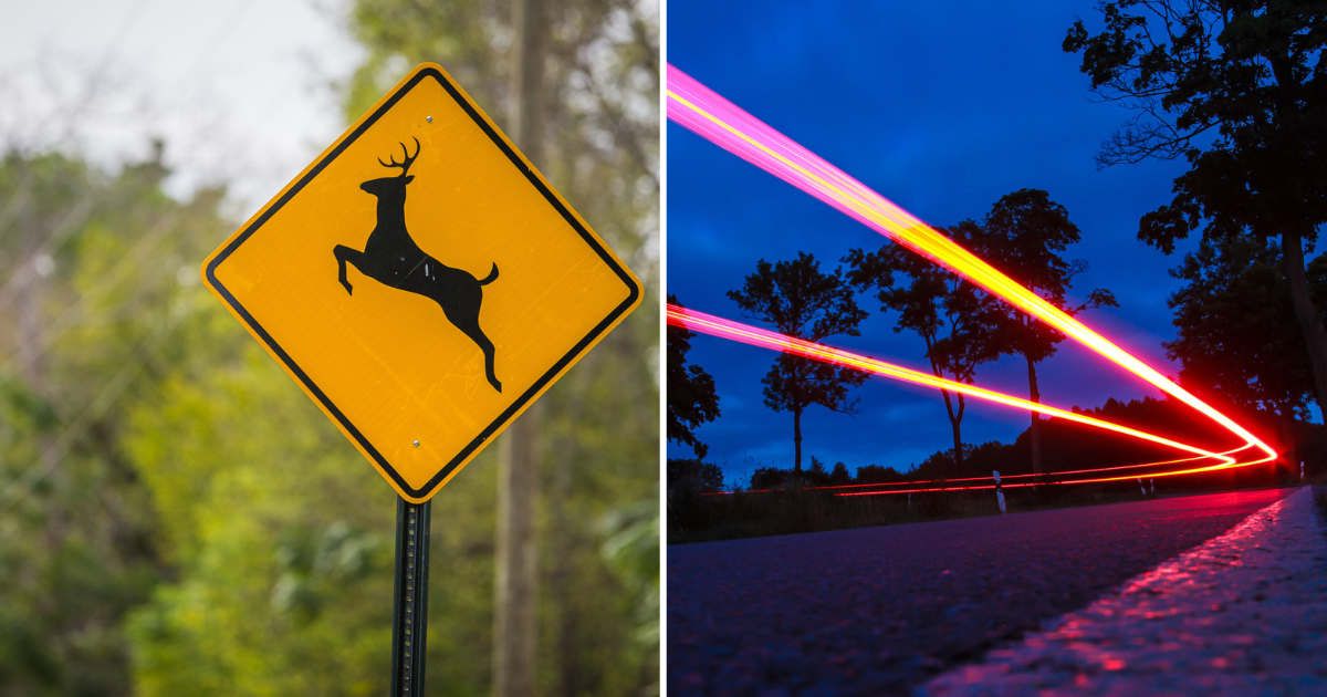 (L) Road sign to alert drivers of vehicle-deer collisions, (R) Glowing laser beams streaking along a roadway (Representative Cover Image Source: Getty Images | (L) Heather Paul, (R) Björn B.)