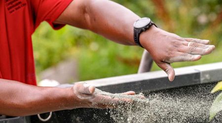 Why are Scientists in New York Spreading Crushed Rocks Across Fields?