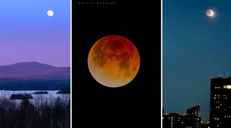 Missed the Total Lunar Eclipse? See Best Photos of The Surreal Blood Moon Spectacle