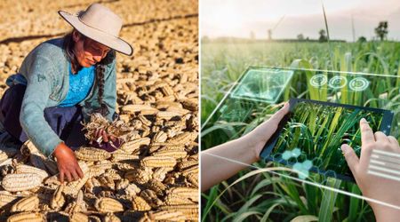 Big Tech's AI Tools Are Affecting Your Food Demands. New Report Highlights Catastrophic Disruption